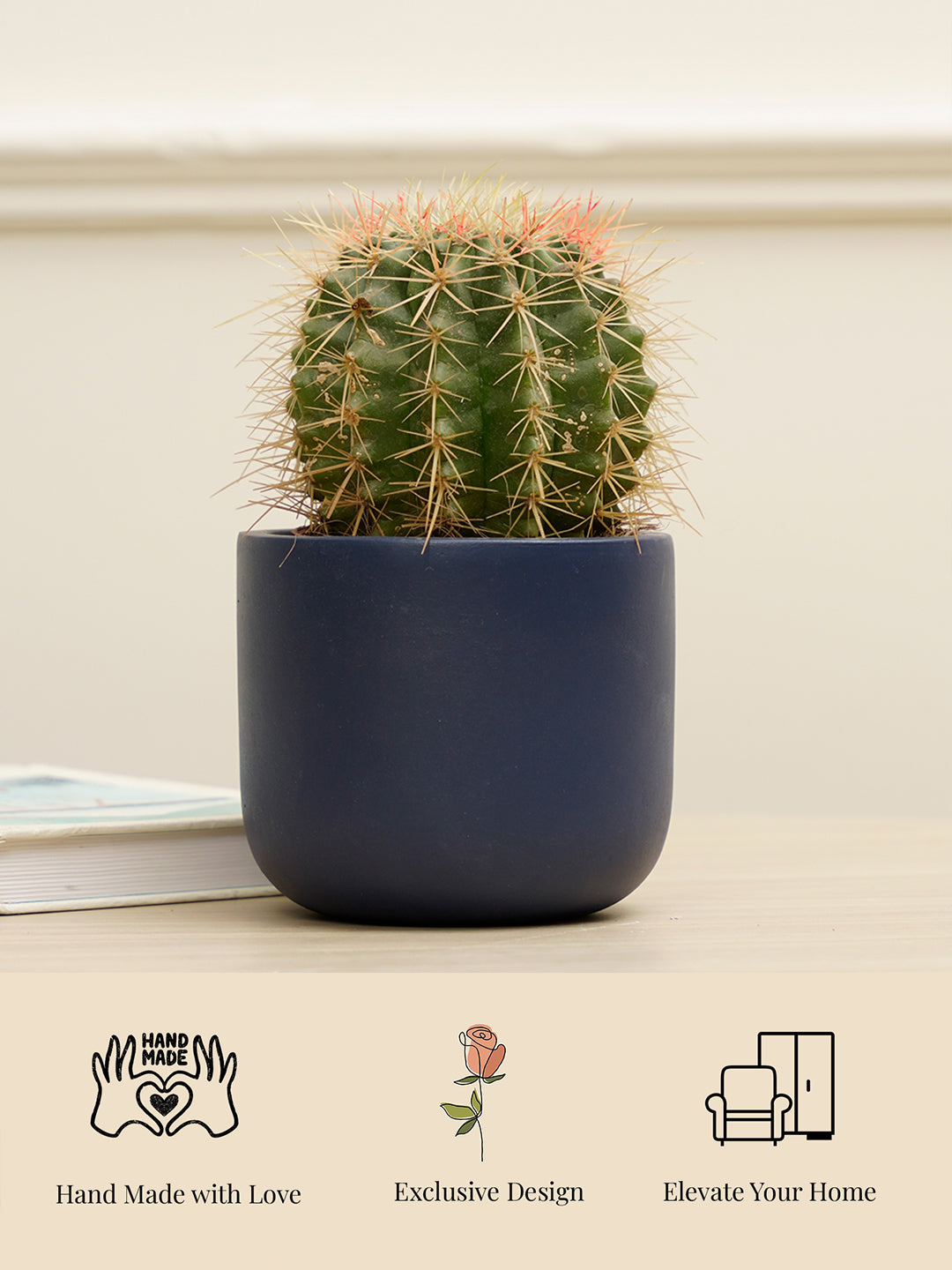 Midnight Planter