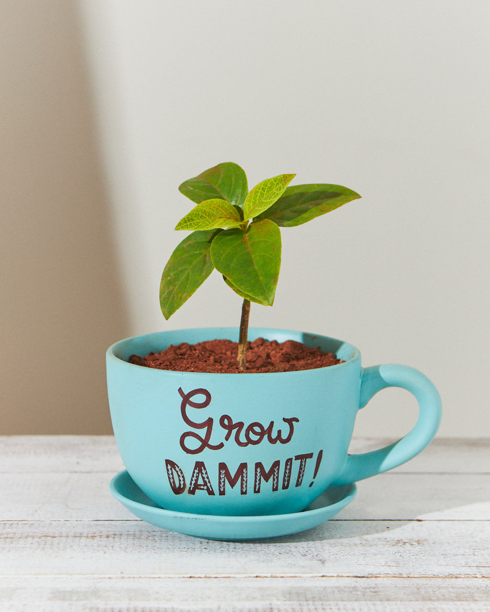 Grow Dammit Planter - Teal