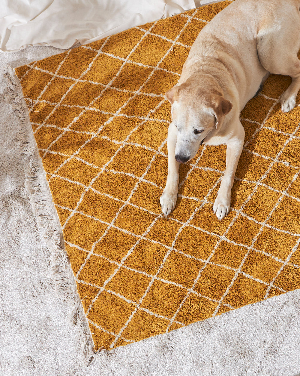 Jaal Rug