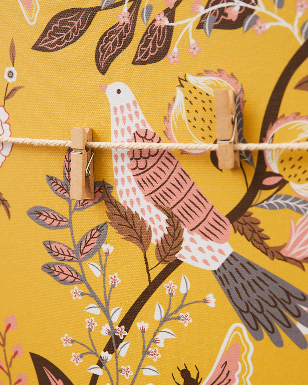 Dragonfruit Memo Board