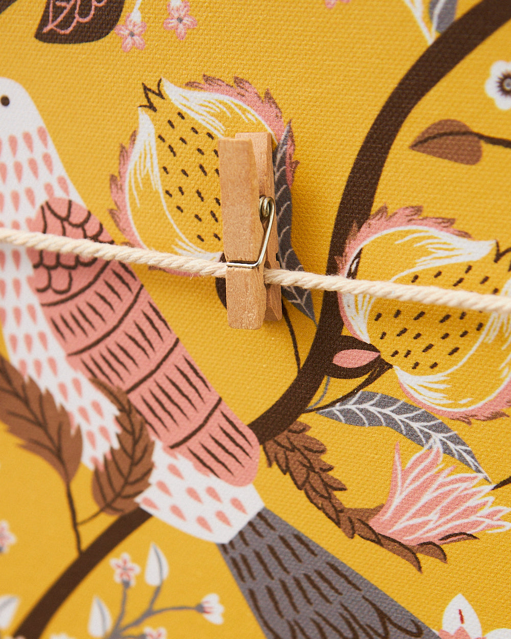 Dragonfruit Memo Board