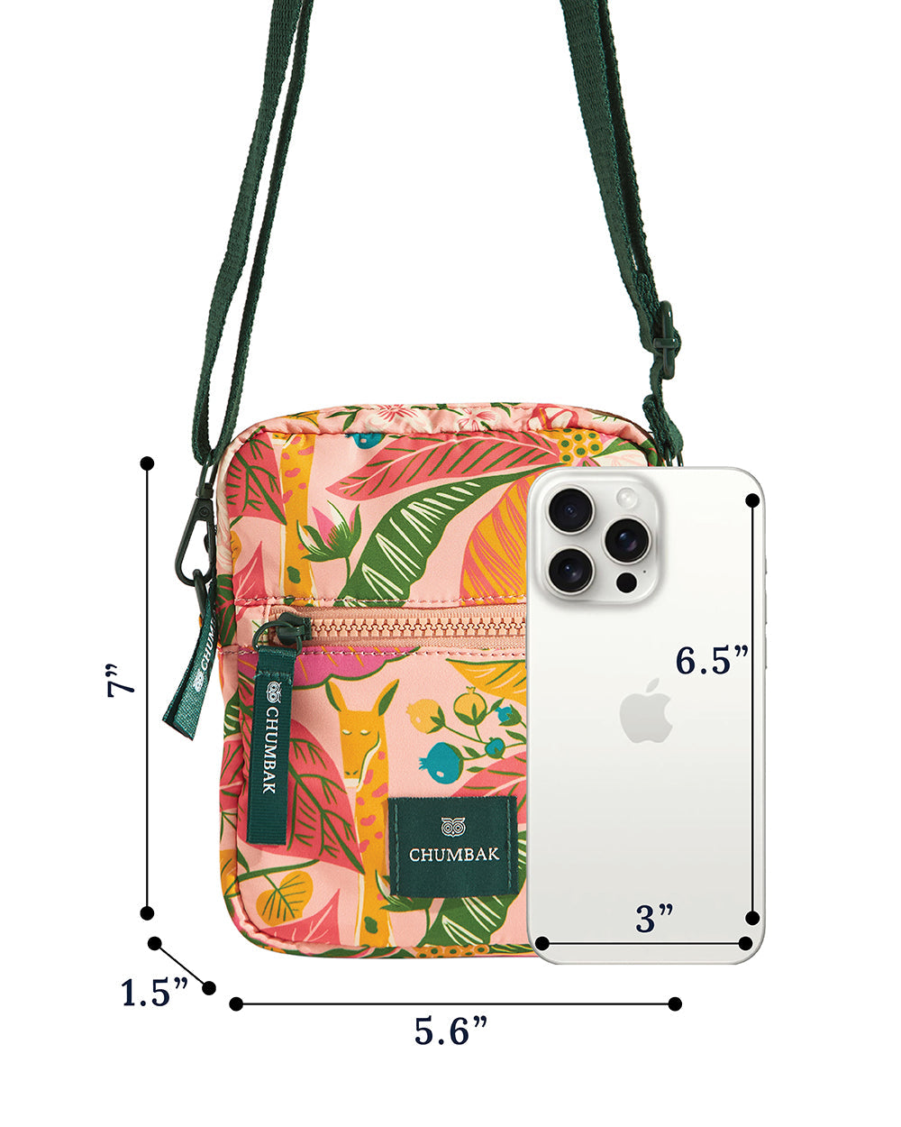Mini Resort Crossbody Bag | Palm Springs