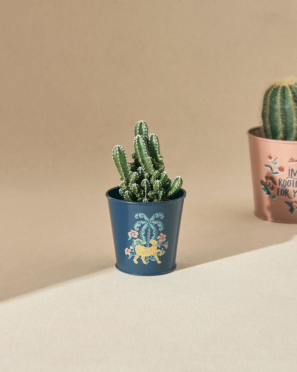 Midnight Garden Metal Planter | Lost in Paradise