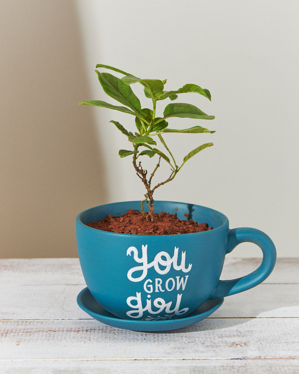 You Grow Girl  Planter - Deep Teal